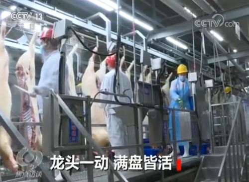 如何讓產業鏈 滿血復活 他們這樣做