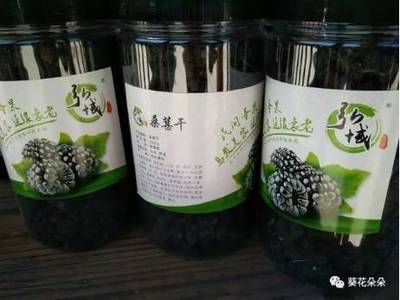 目不暇接!遵化這些產(chǎn)品這次真要火啦!總有一款適合你!