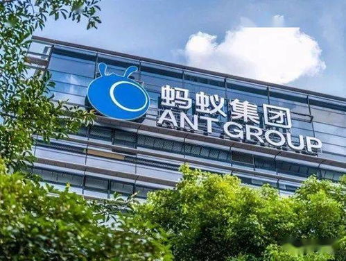 螞蟻集團回應花唄額度下調傳聞 將根據用戶信用狀況動態管理