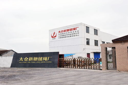 2017年凌空被杯中國平推毽球聯賽總決賽賽前預熱準備——宏通集團助力