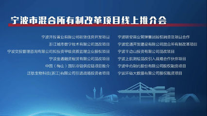 寧波市首屆混改項(xiàng)目線上推介會成功舉辦，宏通集團(tuán)項(xiàng)目備受矚目