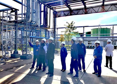 精心打造母廠 重振歷史雄風(fēng)——寶塔集團(tuán)董事局孫珩超主席調(diào)研精細(xì)化工技改項(xiàng)目