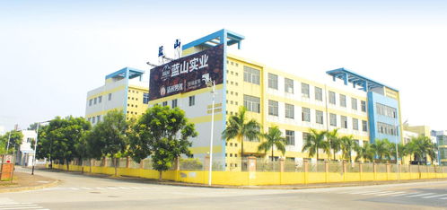 東莞市藍(lán)山食品與宏通集團(tuán) 攜手共筑食品產(chǎn)業(yè)新篇章